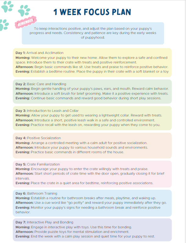 Dog Training Cheat Sheet