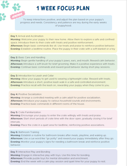 Dog Training Cheat Sheet