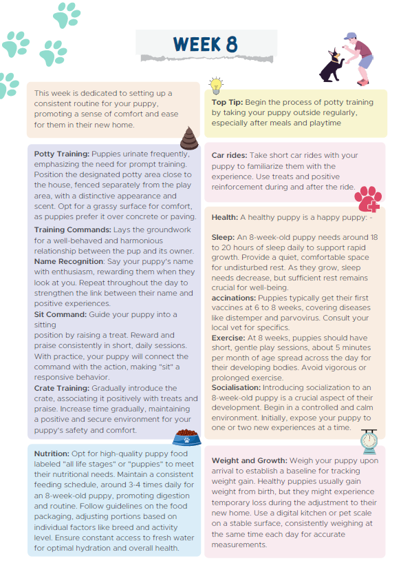 Dog Training Cheat Sheet