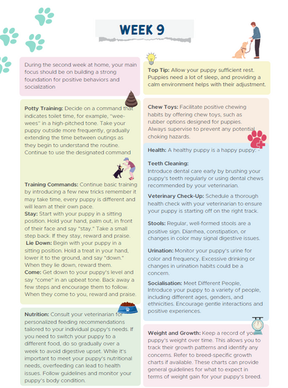 Dog Training Cheat Sheet